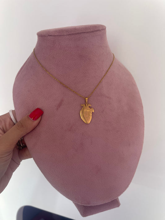 Collana cuore anatomico